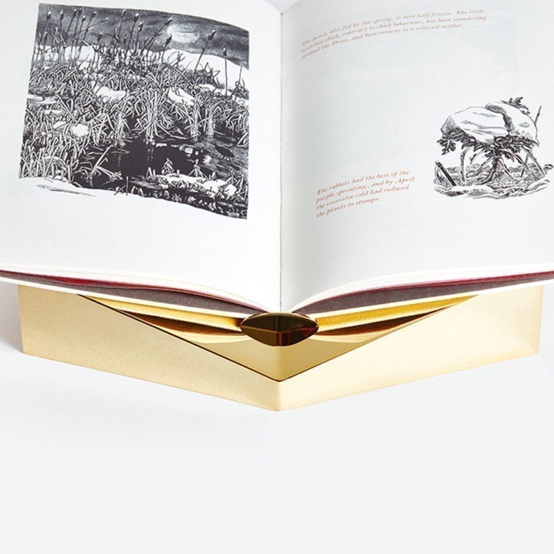 The invisible Collection Creations Dragonfly Golden Single Bookstand