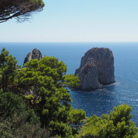 Summer Programme : Inspirations depuis la foire Nomad à Capri