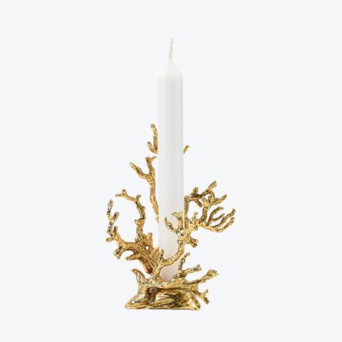 Coral Candlestick